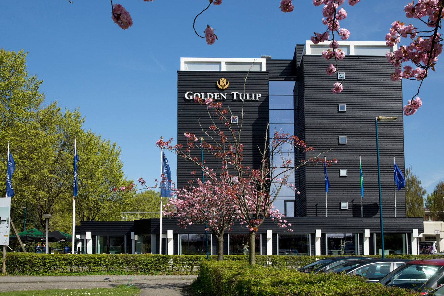 den-haag-wellness-en-strand-3 - afbeelding 1