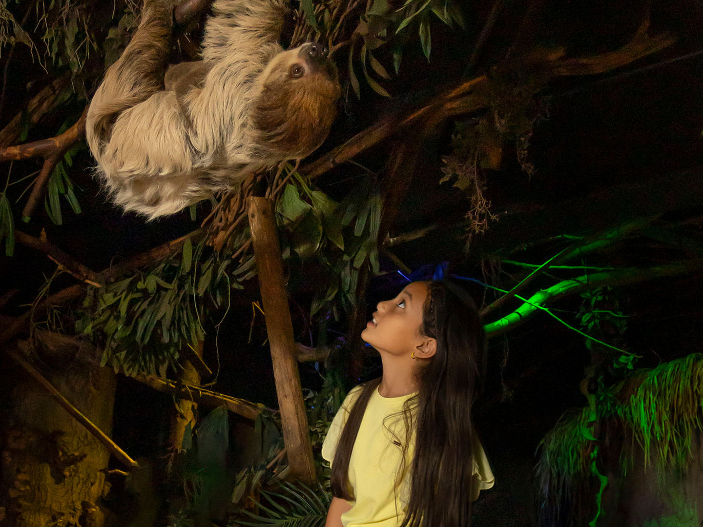 DierenPark Amersfoort - afbeelding 3