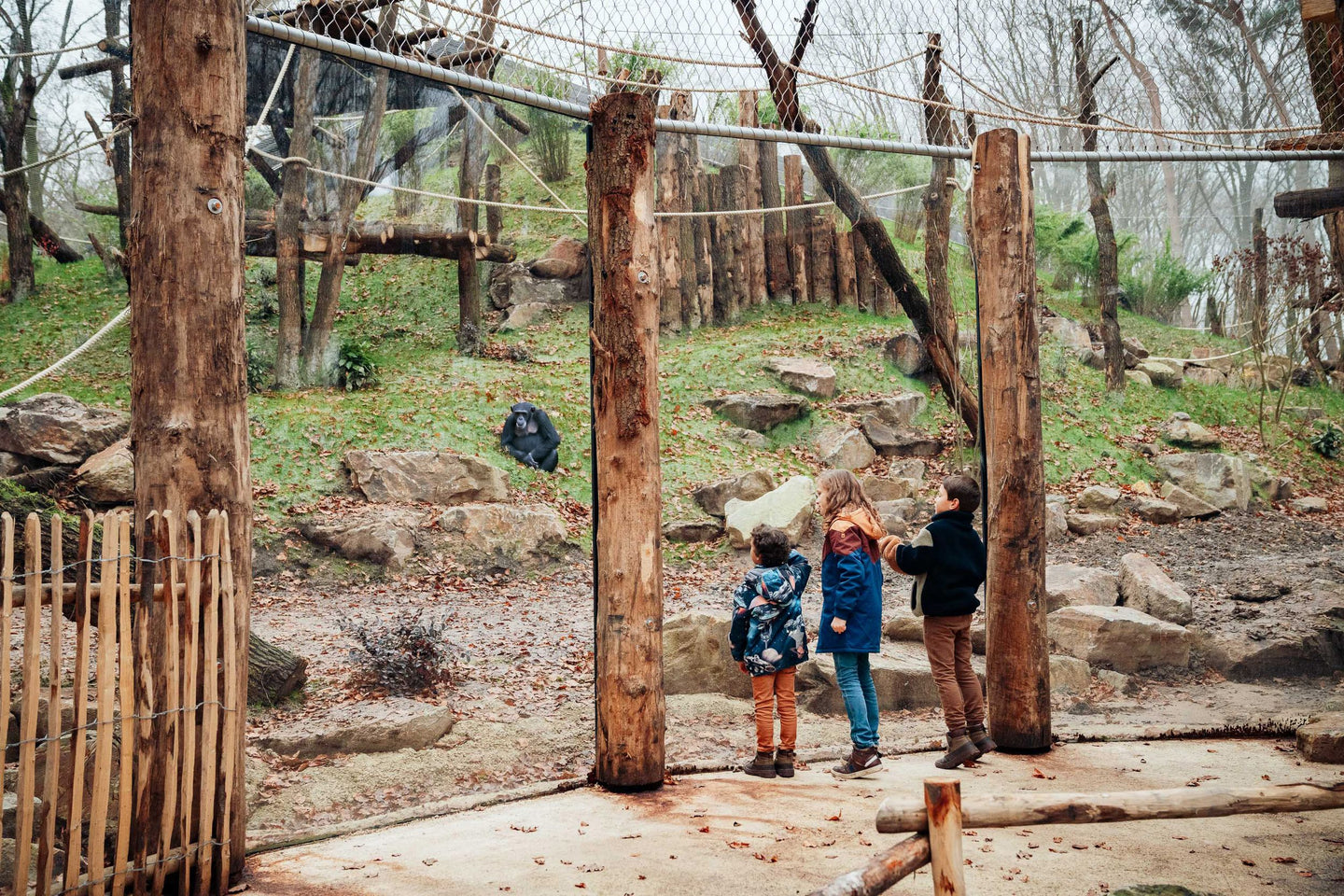 DierenPark Amersfoort - afbeelding 4