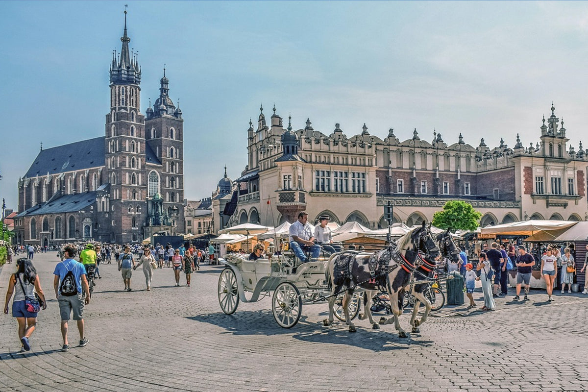 7 daagse busreis Krakau - afbeelding 6